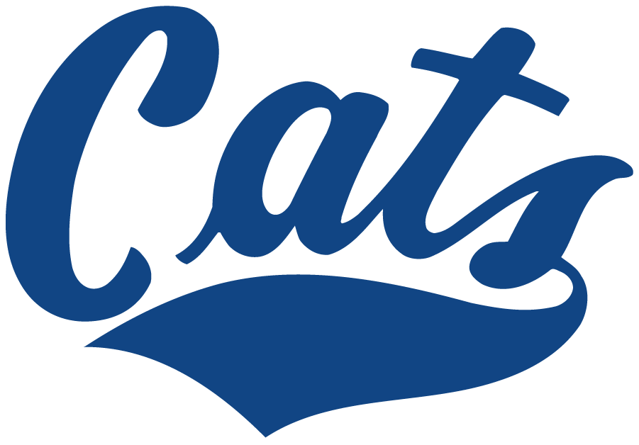 Montana State Bobcats 1982-1995 Wordmark Logo diy iron on heat transfer...